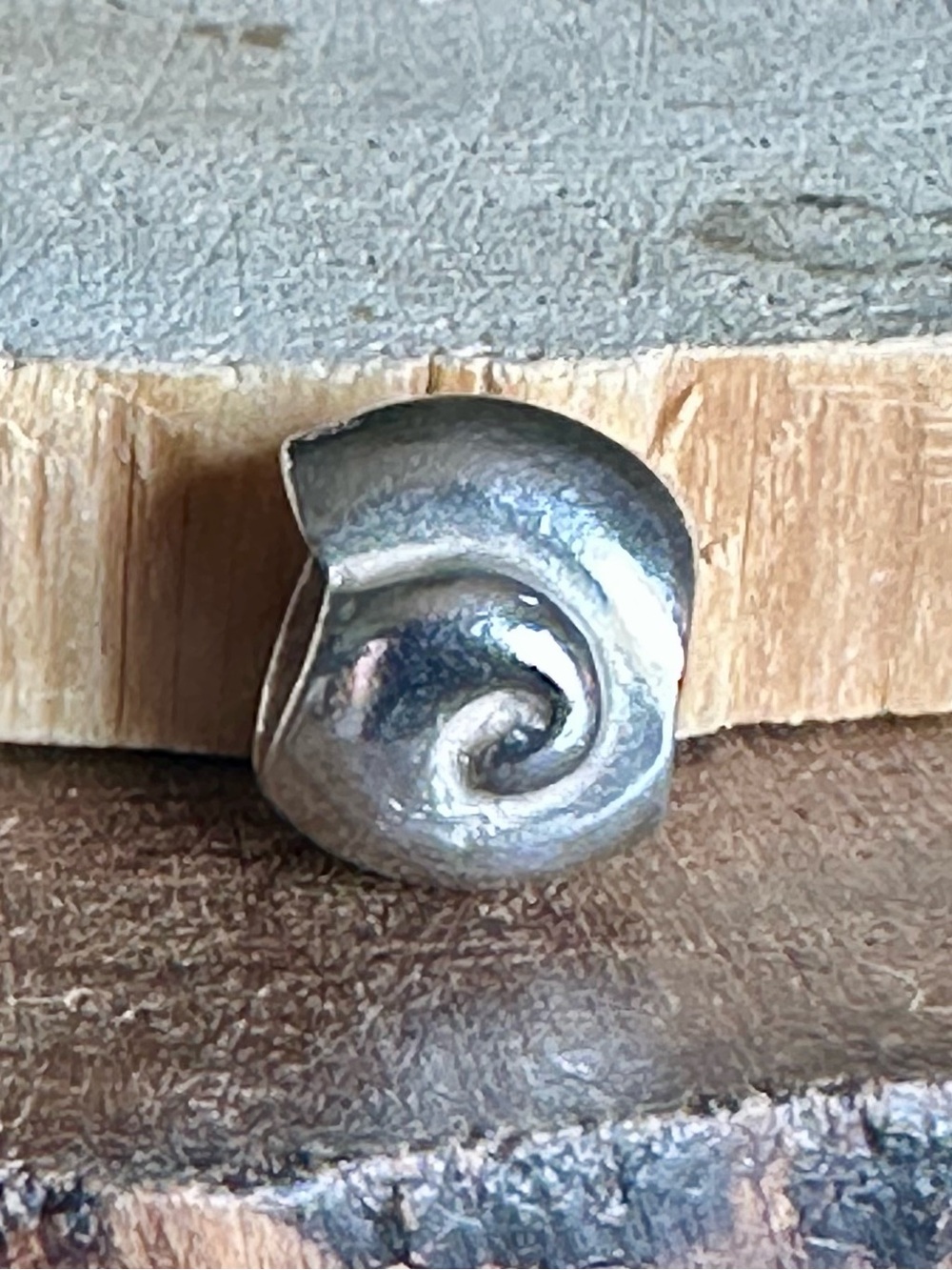 Retired Pandora Snail Shell Charm